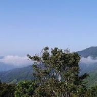 金針山 青山農場