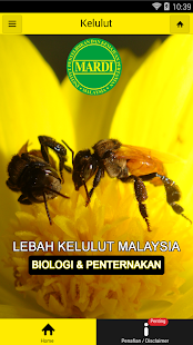 MARDI Kelulut - náhled