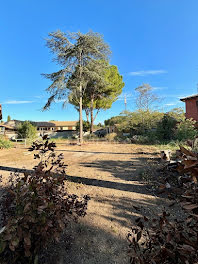 terrain à Marseillan (34)