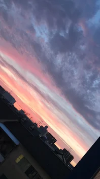 探していたいたのは……？2