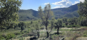 terrain à Olmeta-di-Tuda (2B)