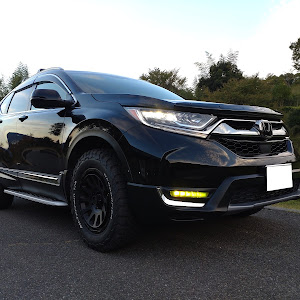 CR-V RW1