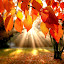 Autumn Wallpaper HD New Tab Theme