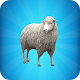 My Sheep Simulator