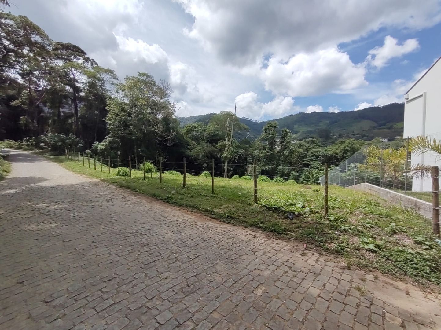 Terreno Residencial à venda em Cônego, Nova Friburgo - RJ - Foto 3