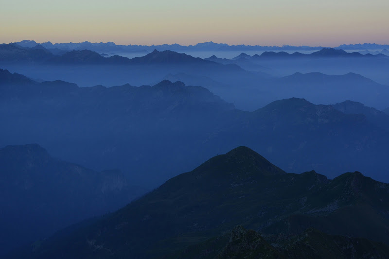 blue tops di lore.coda