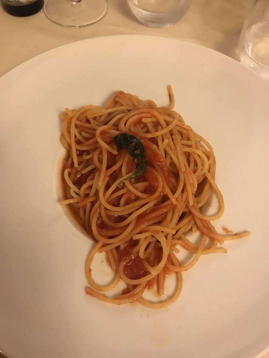 gf pasta with tomato sauce