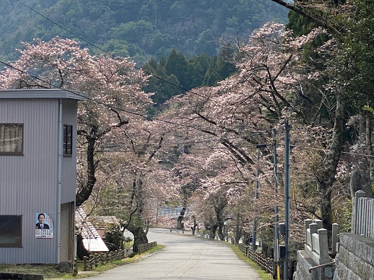 の投稿画像27枚目