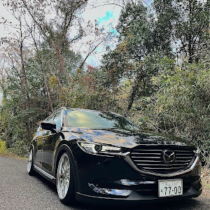 CX-8