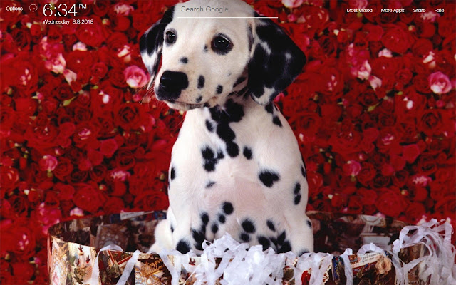 Puppies Animals Wallpapers FullHD New Tab