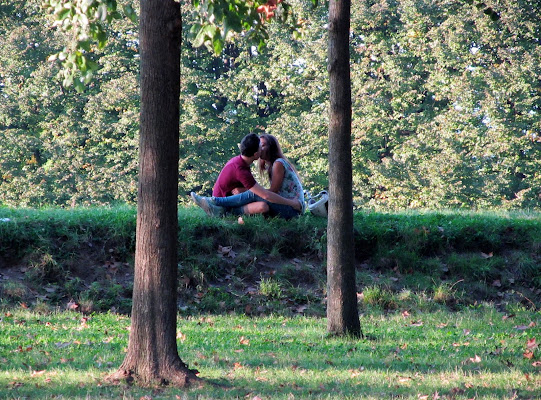 Un bacio fra gli alberi di Giorgio Lucca