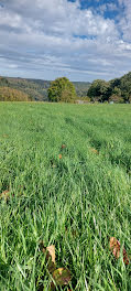 terrain à Hommert (57)