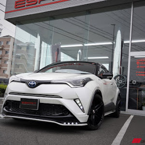 C-HR ZYX10