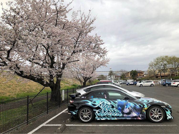 RX-8のライスシャワー・痛車・桜とコラボ・サクラと愛車に関するカスタム事例の投稿画像3枚目