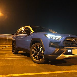 RAV4 MXAA54
