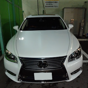 LS USF41