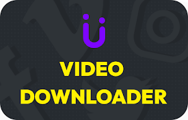 download videos safari extension