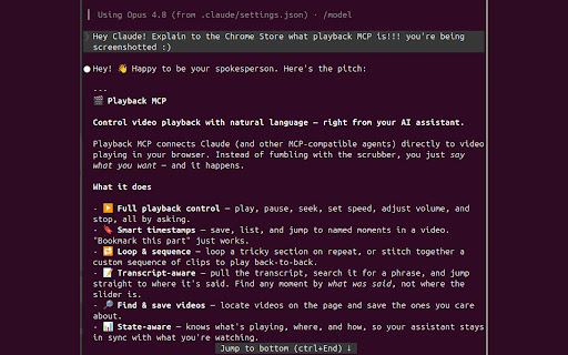 Playback MCP screenshot 3
