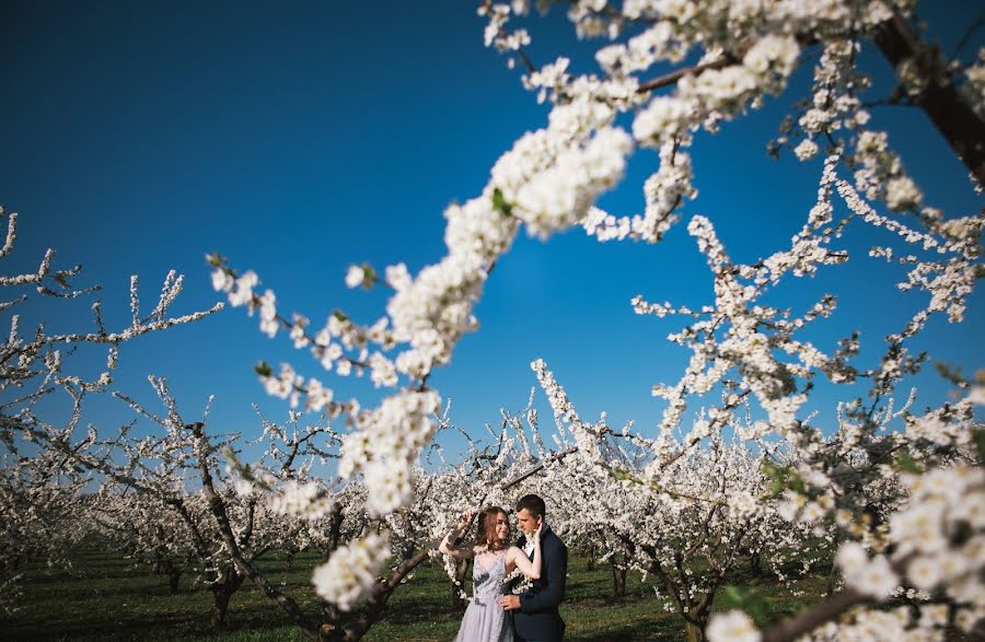 Hochzeitsfotograf Elena Mikhaylova (elenamikhaylova). Foto vom 24. April 2018