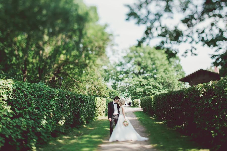 Fotografo di matrimoni Vera Scherbakova (vera007). Foto del 21 ottobre 2015