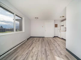 Open concept kitchen and living areas, wood inspired vinyl floor, large windows, neutral color scheme