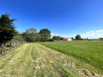 terrain à Blaye (33)