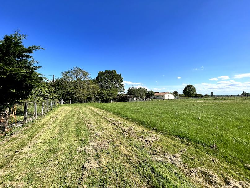 Vente terrain  1040 m² à Blaye (33390), 75 000 €