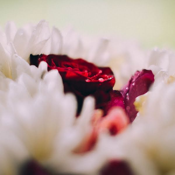 Fotógrafo de bodas Natalya Sokolova (liasokolovskaya). Foto del 9 de julio 2017