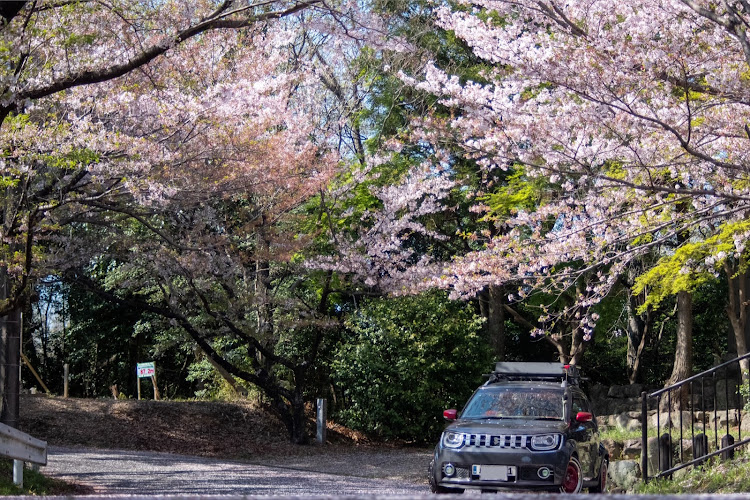 イグニスのS660・一期一会・桜吹雪・子どもとドライブ・桜とコラボに関するカスタム事例の投稿画像10枚目