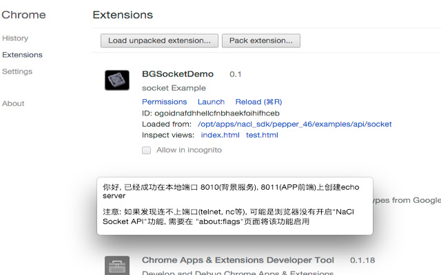 BGSocketDemo chrome extension