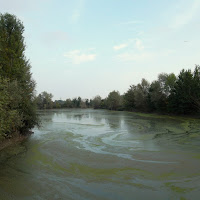 L'acqua inquinata di 