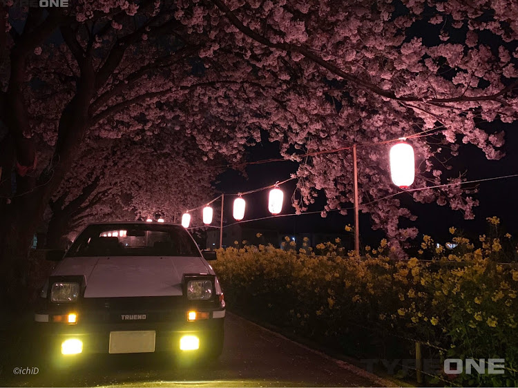 スプリンタートレノのハチロク・パンダトレノ・夜桜・桜と愛車・菜の花と愛車に関するカスタム事例の投稿画像2枚目