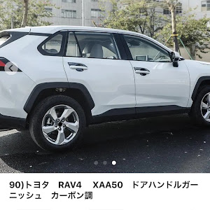 RAV4 MXAA54