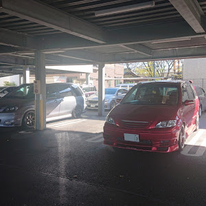 MPV LW5W