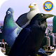 City Birds Simulator Download on Windows