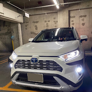 RAV4 MXAA54