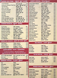 Saanvi Sagar menu 2