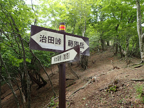 孫太尾根で下山