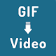 GIF to Video Download on Windows