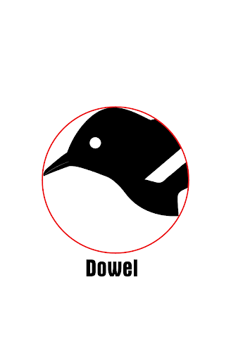 Dowel