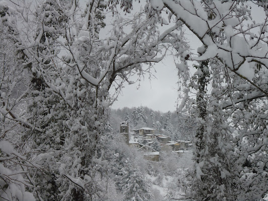 Tanti saluti dalla Garfagnana !! di FLORANS