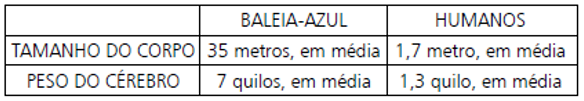 De acordo com esse quadro, acima de 35 metros é o