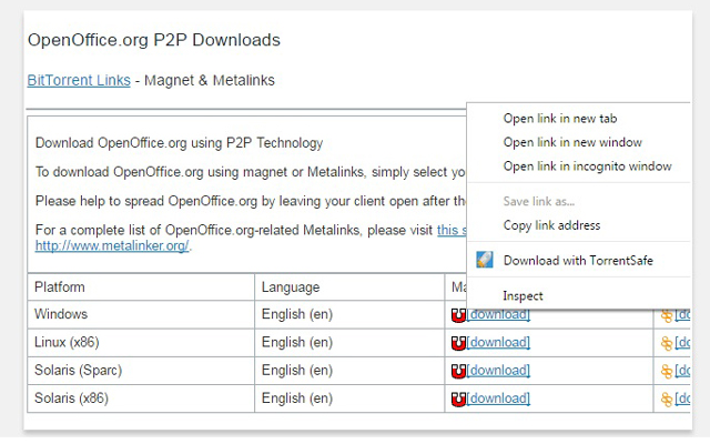 TorrentSafe Preview image 0