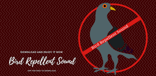 Anti Bird Sound Apps On Google Play