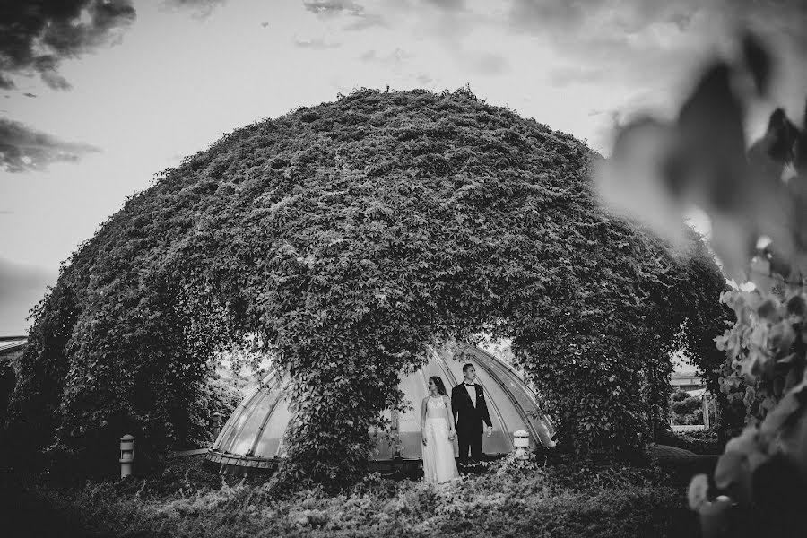 Fotografo di matrimoni Krzysiek Łopatowicz (lopatowicz). Foto del 18 agosto 2016