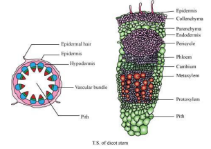 Solution Image