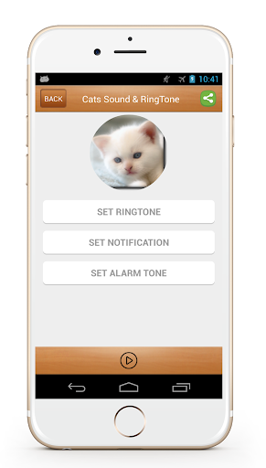 免費下載娛樂APP|Cat Sound & Ringtone app開箱文|APP開箱王