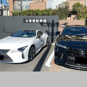 LC GWZ100
