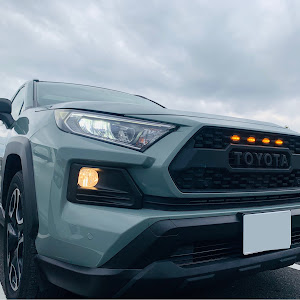 RAV4 MXAA54