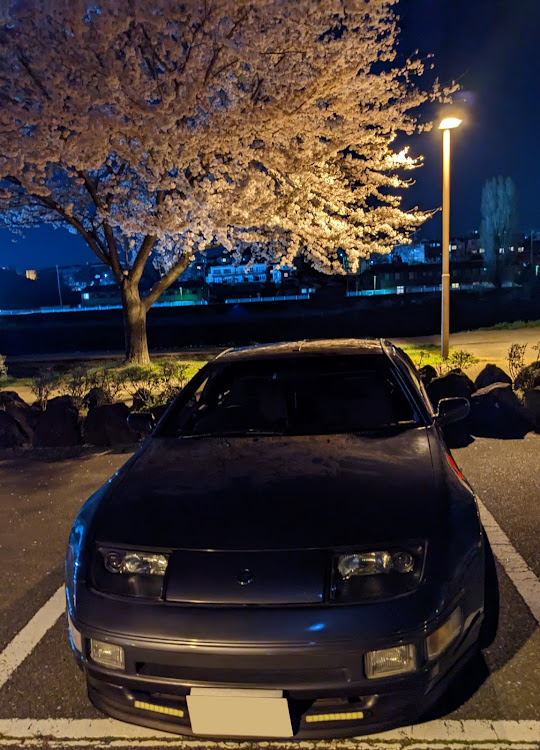 フェアレディZの桜と愛車のコラボに関するカスタム事例の投稿画像3枚目